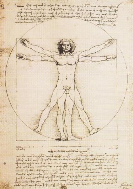 The Vitruvian Man(Con người theo Vitruvius) của Leonardo 1485.