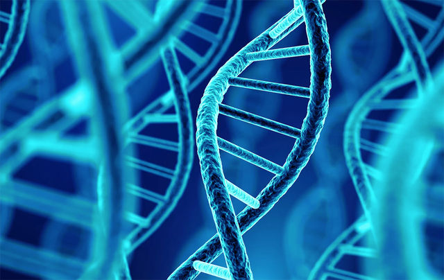 Các nhà khoa học vừa tìm ra người có DNA lâu đời nhất ở khu vực Bắc Mỹ.