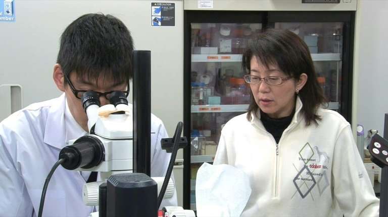Viện RIKEN là một trong những nơi nghiên cứu có nhiều đột phá của thế giới về tế bào gốc “vạn năng cảm ứng” (Induced Pluripotent Stem Cells- iPSC). Nguồn: RIKEN
