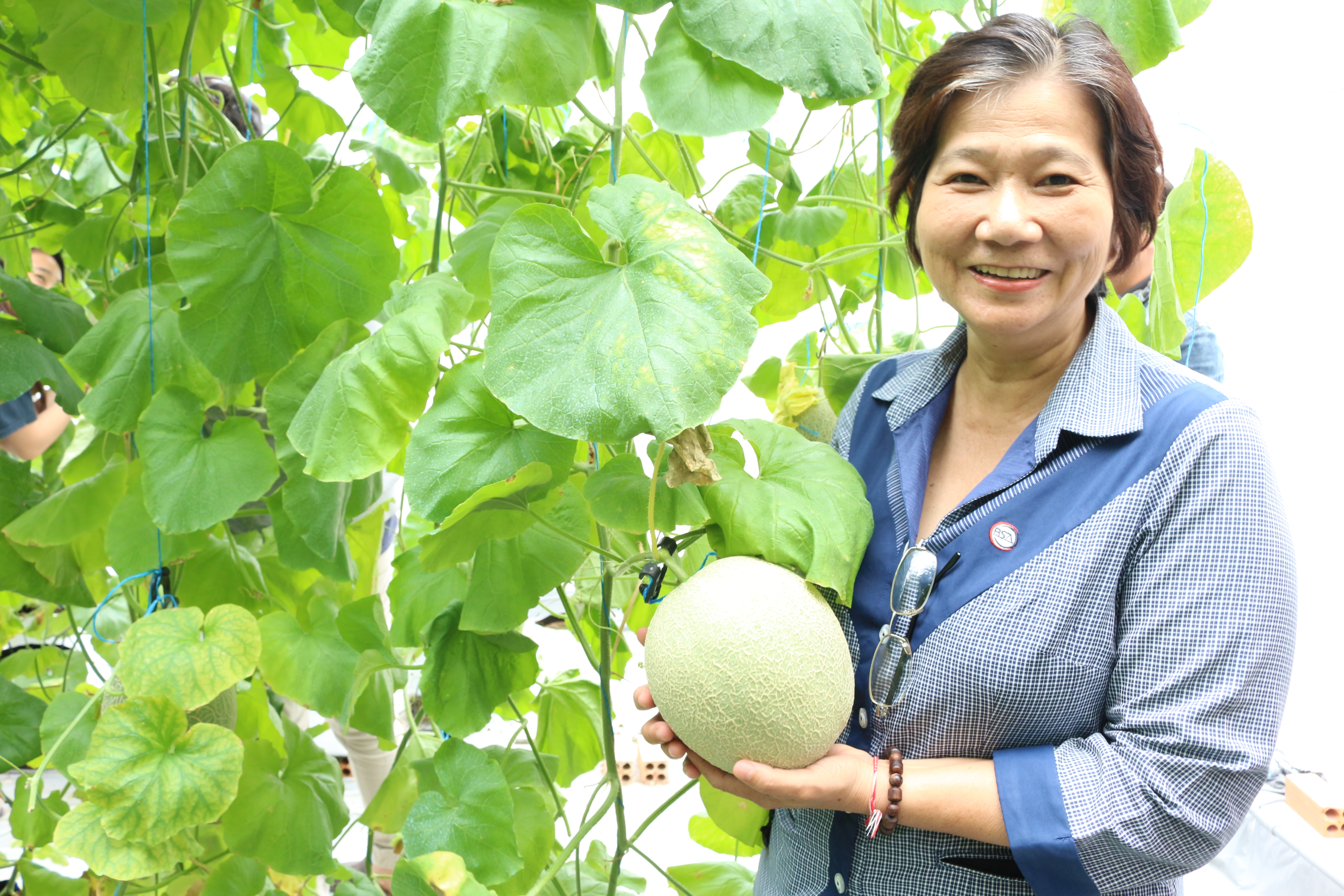 Bà Vũ Kim Anh, thành viên Ban tổ chức cuộc thi “Dự án khởi nghiệp sáng tạo thanh niên nông thôn năm 2019”, PGĐ trung tâm BSA.