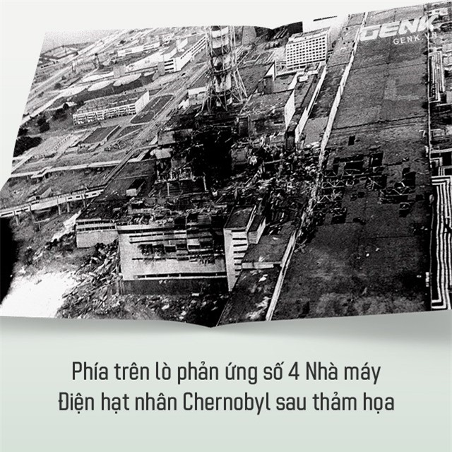 Từ địa ngục, Chernobyl nay trở thành thiên đường cho các loài động vật, có phải con người mới đáng sợ hơn cả hạt nhân? - Ảnh 2.