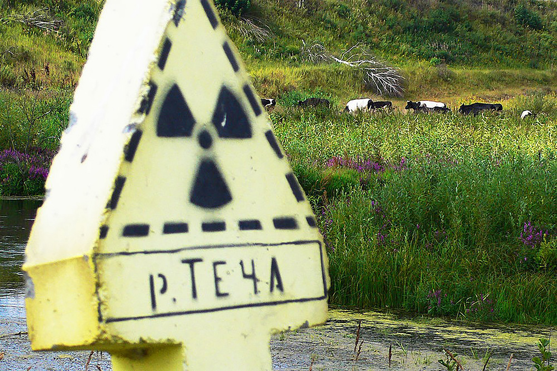 Một biển báo về ô nhiễm phóng xạ gần nhà máy hạt nhân Mayak. Ảnh: Wikimedia.