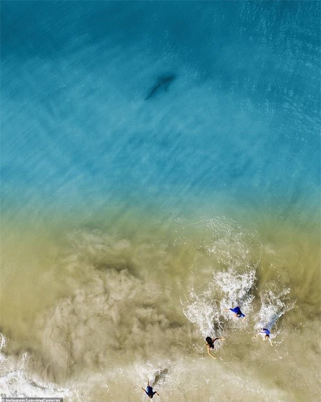 Chụp ảnh drone trên biển, ông bố phát hiện mối hiểm họa chỉ cách vài mét và bắt các con chạy lên bờ ngay lập tức - Ảnh 2.