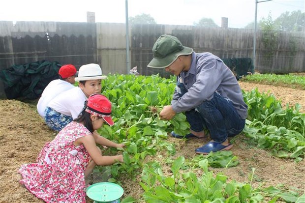 Trẻ em được đến tham quan và trải nghiệm thu hoạch rau sạch tại trang trại Sunny Farm – mô hình trồng rau theo hướng hữu cơ tại phường 12, thành phố Vũng Tàu. (Ảnh: Hoàng Nhị/TTXVN)