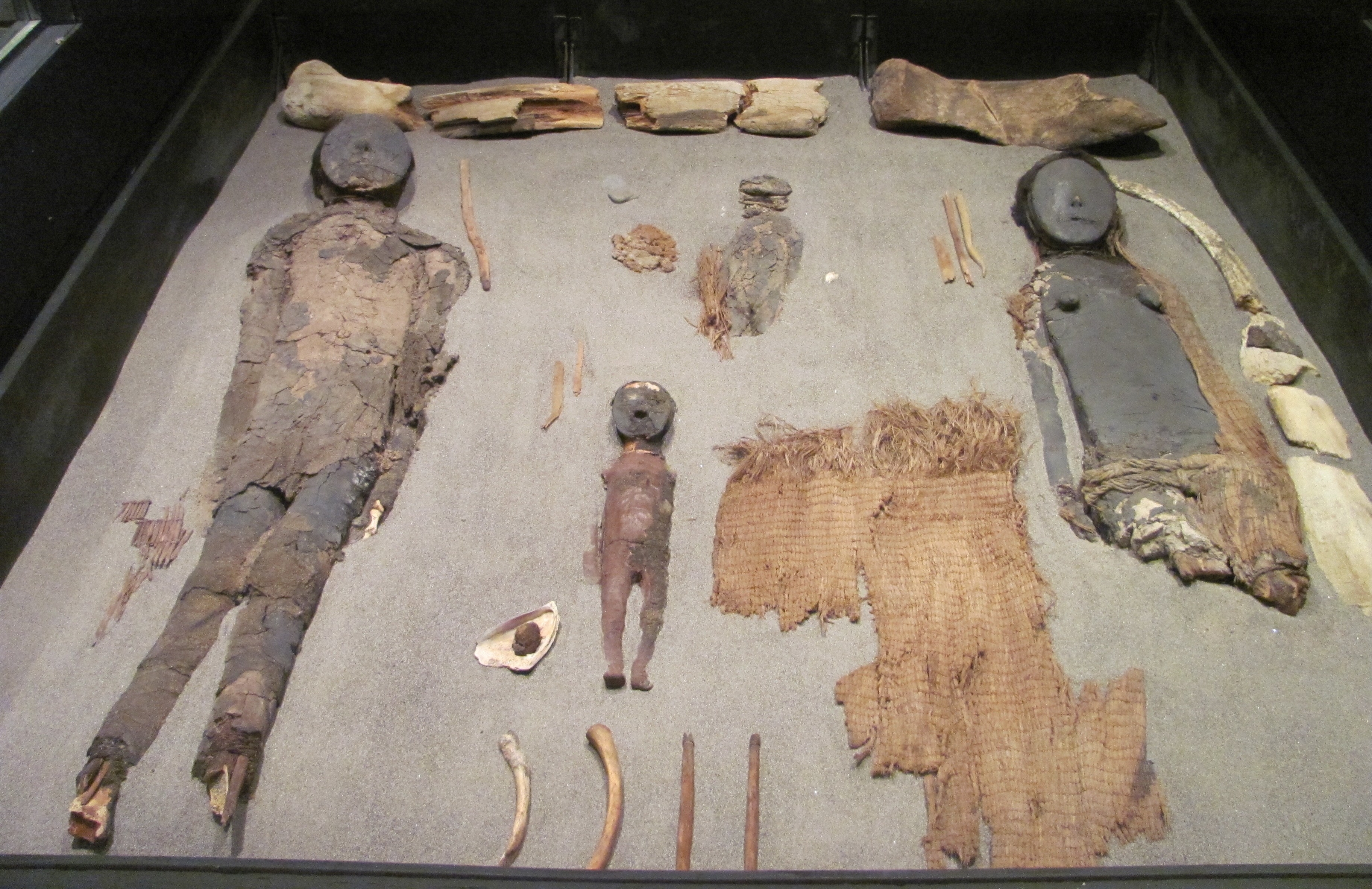 Xác ướp của người Chinchorro khai quật ở Chile. Ảnh: CNN