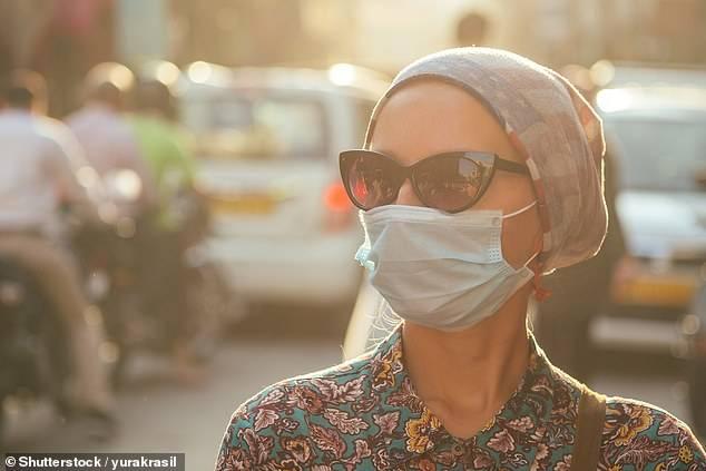 Chất gây ô nhiễm từ khí thải xe hơi và khí thải nhà máy là nguyên nhân gây ra nhiều ca viêm phế quản mạn tính và khí phế thũng - Ảnh: Shutterstock