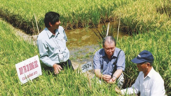 Sản xuất được những sản phẩm lúa gạo Việt Nam chất lượng cao, năng suất cao là một trong những mục tiêu của chương trình Sản phẩm quốc gia. Nguồn: Báo SGGP
