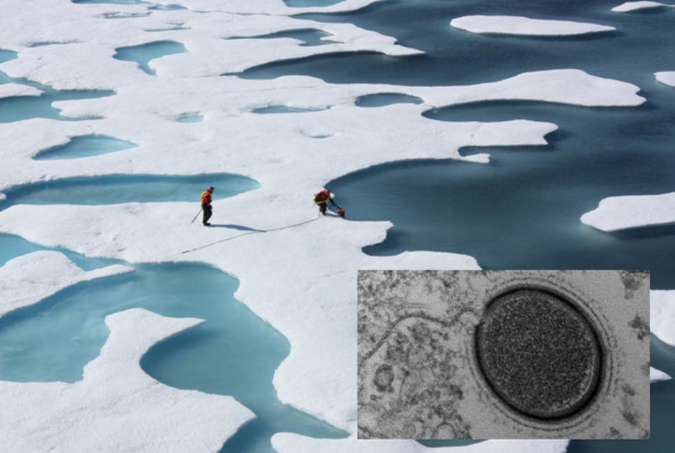 Virus khổng lồ cổ đại tìm thấy ở Bắc Cực không giống bất kì chủng nào từng được biết đến | Ảnh: Ancient Origins
