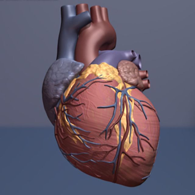 Phương pháp ghép tế bào gốc mới sẽ là cơ hội cho việc điều trị tim bị tổn thương.