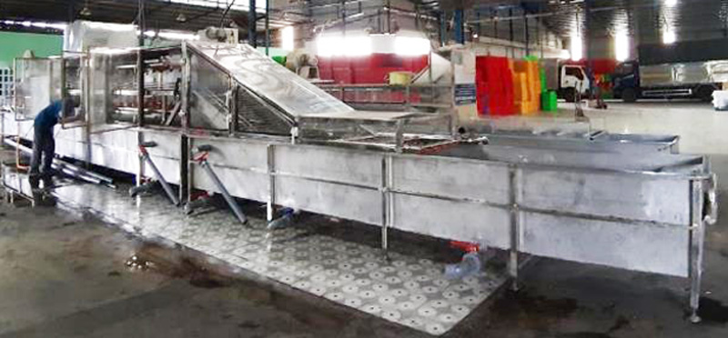 Máy rửa thanh long lắp đặt tại Công ty TNHH Hoàng Huy