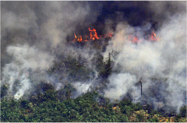 Cháy rừng ở Amazon đã kéo dài hàng tháng nay | Ảnh: AFP