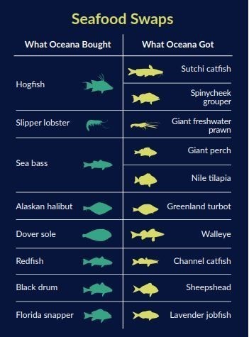 Một số loại cá được bán ở Mỹ có thể bị tráo đổi loại | Nguồn: Oceana