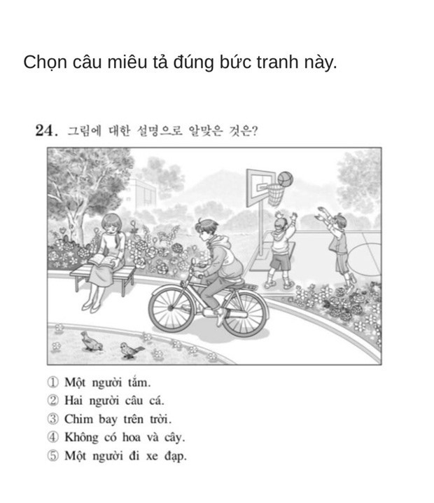 Thử sức với đề thi Tiếng Việt tại kỳ thi Đại học Hàn Quốc 2019: Nhiều câu hóc búa đánh lừa cả người Việt - Ảnh 10.