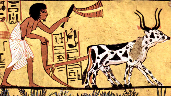 Nông dân Ai Cập cổ đại đang cày xới đất. Ảnh: Wikimedia.