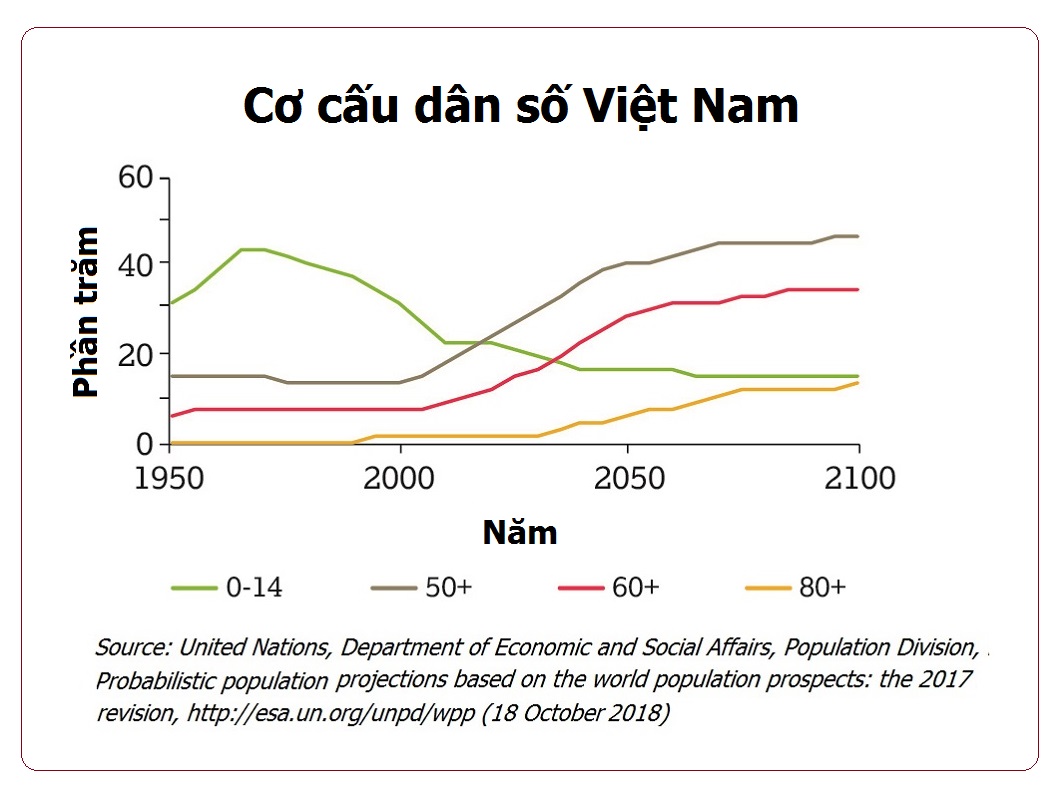 Cơ cấu dân số Việt Nam