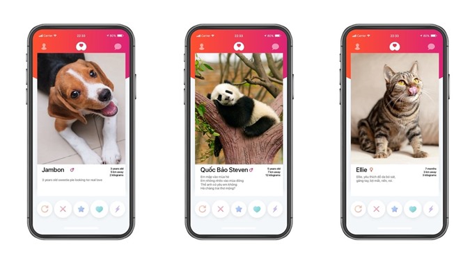 Get Bone: app hẹn hò cho thú cưng Made in Vietnam, lấy cảm hứng từ Tinder