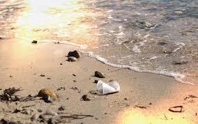 Một chiếc cốc bằng nhựa polystyrene lăn lóc bên bờ biển - Ảnh: Jayne Doucette. Viện hải dương học Woods Hole