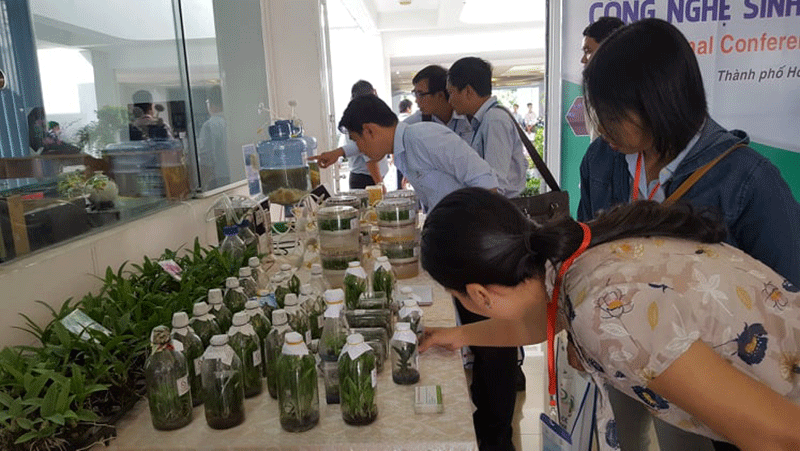 Trung tâm CNSH TPHCM giới thiệu các kết quả nghiên cứu về CNSH thực vật