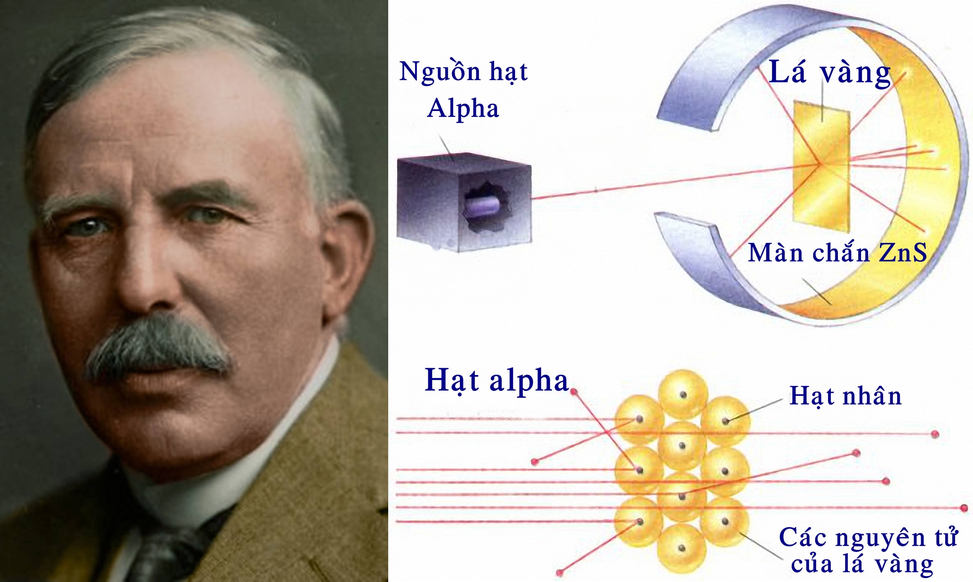Ernest Rutherford và thí nghiệm tán xạ hạt alpha. Ảnh: Biography.