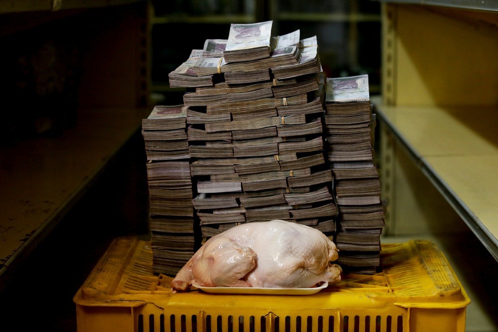 Lượng tiền Bolivars đủ để mua một con gà (2,4 kg) ở Venezuela hiện tại. Ảnh: Carlos Garcia Rawlins/Reuters.