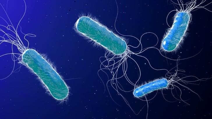 Sự phát triển kháng sinh mới không theo kịp tốc độ lây lan của vi khuẩn kháng kháng sinh - Ảnh: Shutterstock