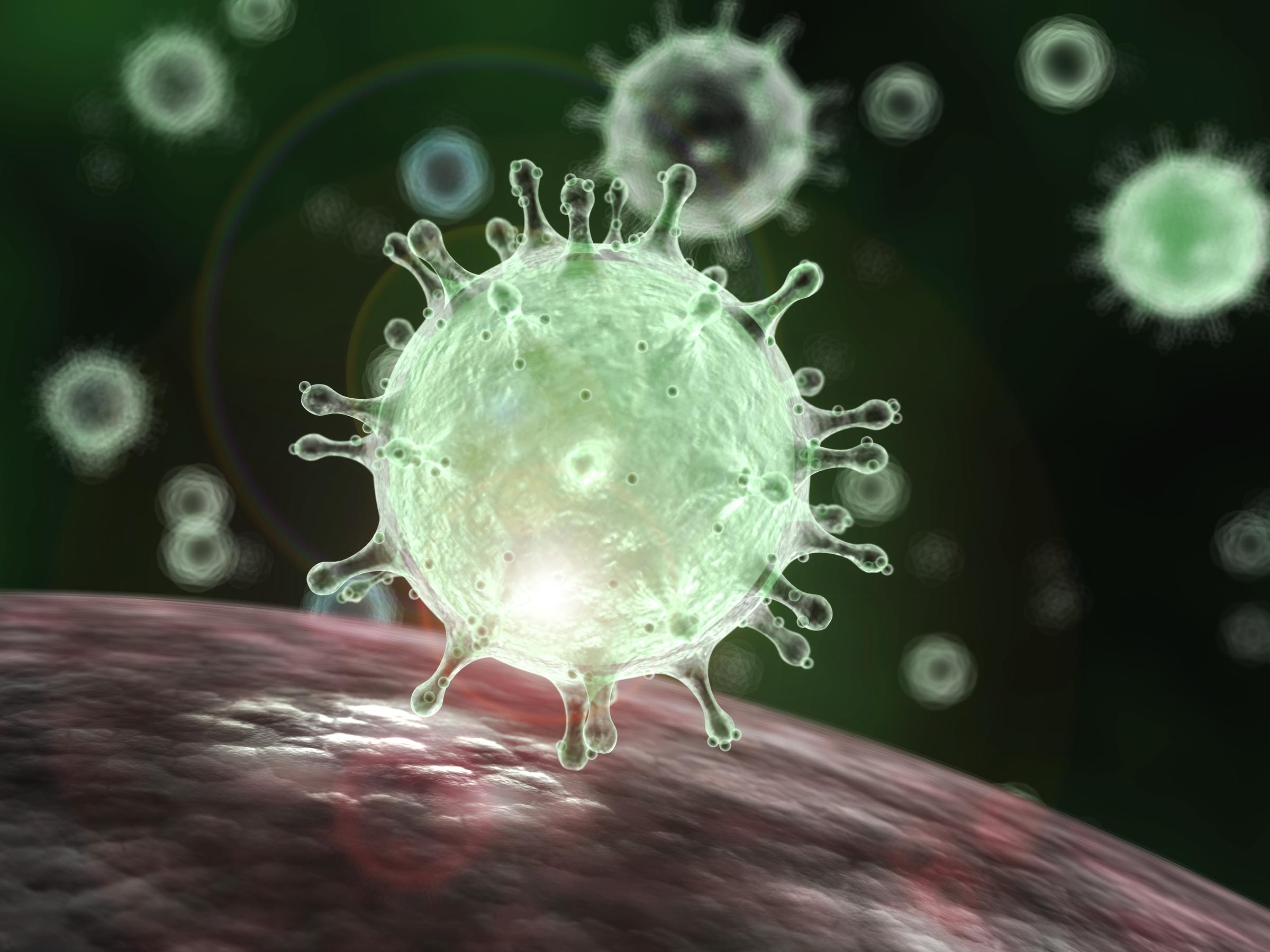 Nhìn dưới kính hiển vi, dòng coronavirus có các gai protein giống như vương miện