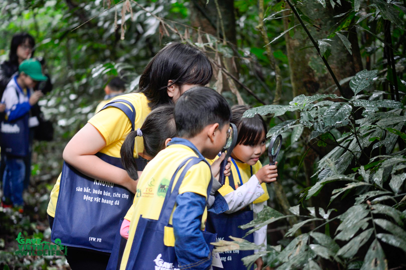 Các em nhỏ đang khám phá thiên nhiên trong vườn thực vật tại Vườn Quốc gia Cúc Phương, hoạt động này thuộc dự án “Trao Bé Hạt Mầm” do Save Vietnam’s Wildlife tổ chức. Ảnh: Save Vietnam’s Wildlife.