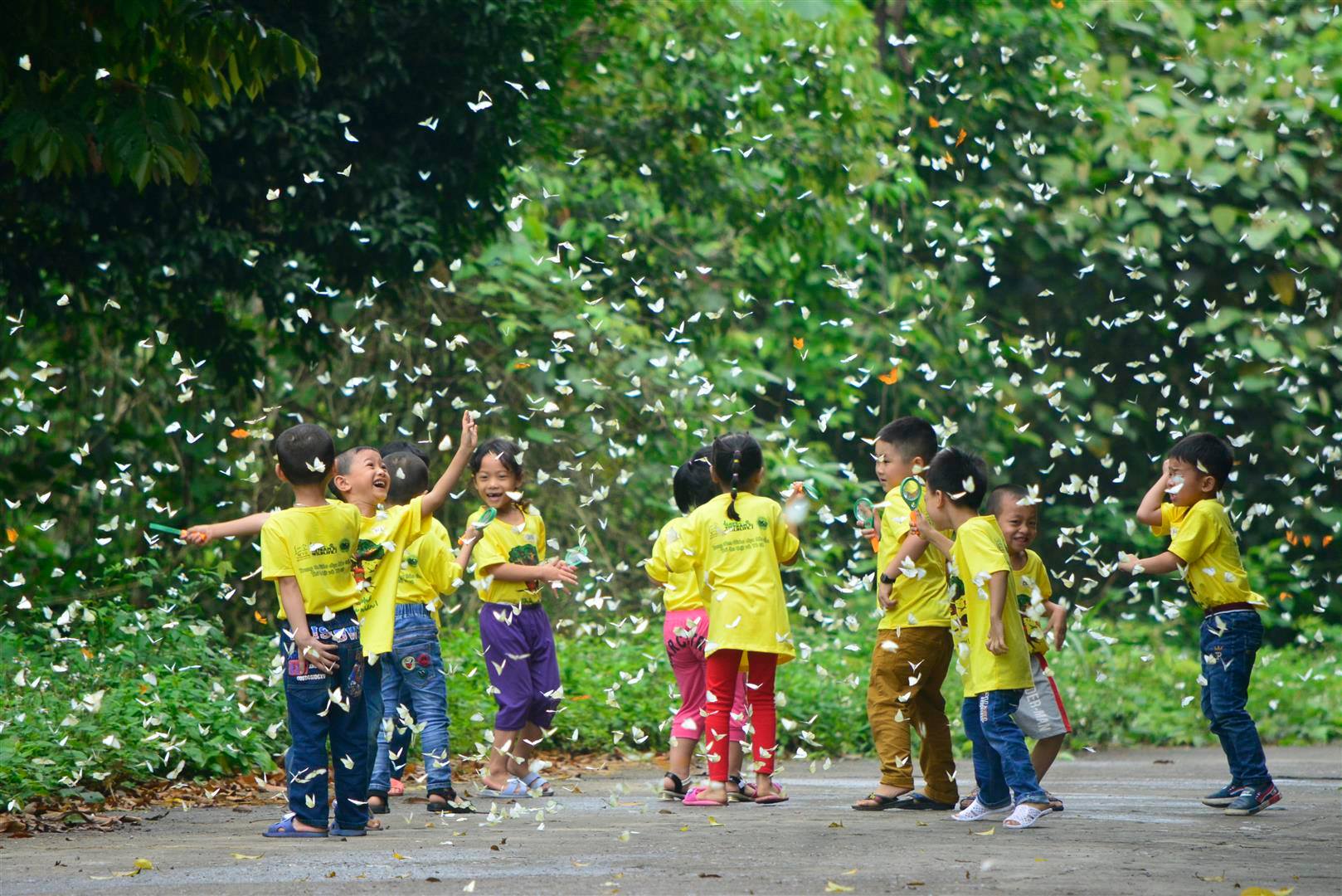 Các em nhỏ đang khám phá thiên nhiên trong vườn thực vật tại Vườn Quốc gia Cúc Phương, hoạt động này thuộc dự án “Trao Bé Hạt Mầm” do Save Vietnam’s Wildlife tổ chức. Ảnh: Save Vietnam’s Wildlife.