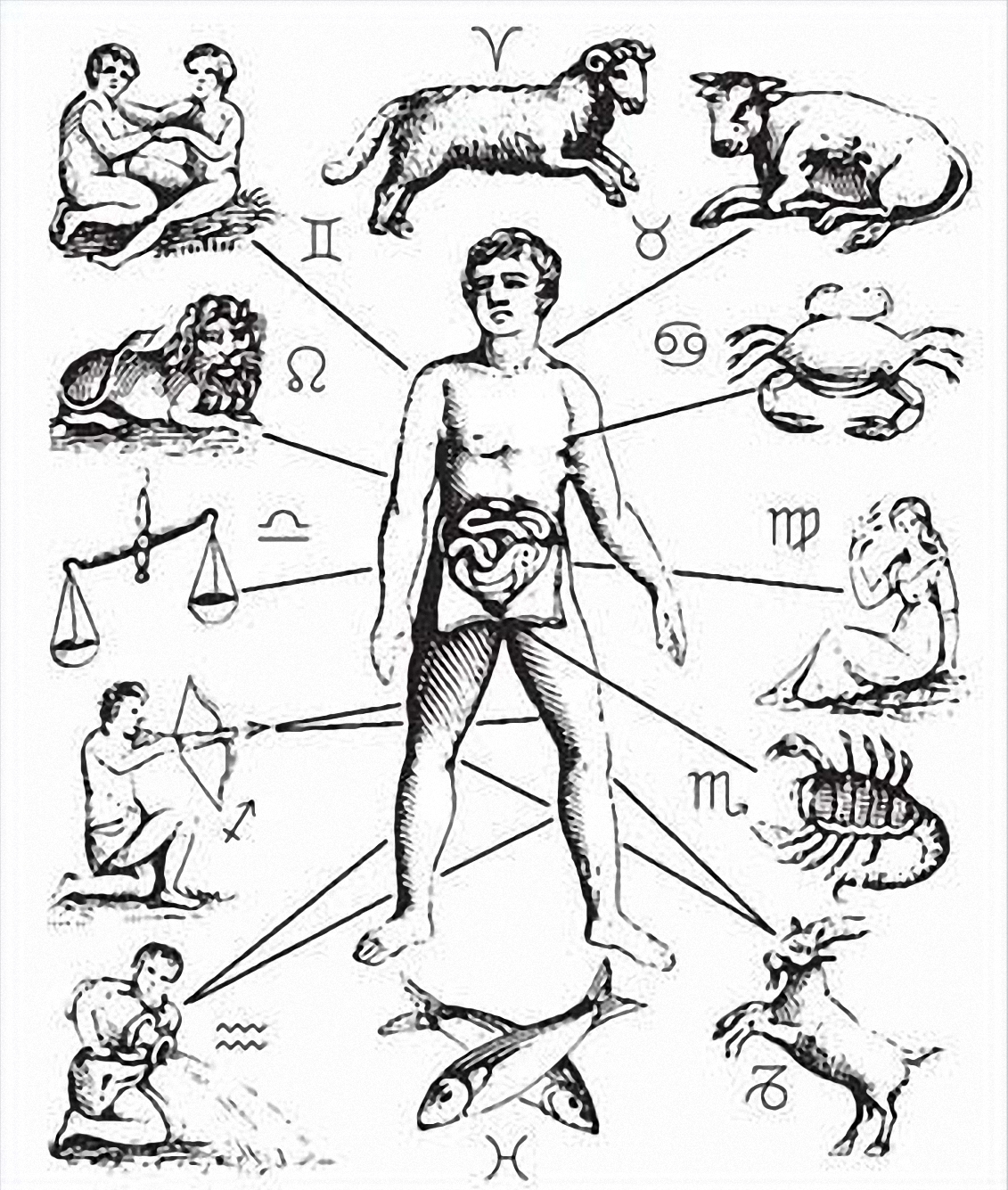 Vào cuối thời kỳ Trung Cổ, các nhà chiêm tinh y học tin rằng cung hoàng đạo chi phối bệnh tật của con người. Ảnh: Wikimedia.