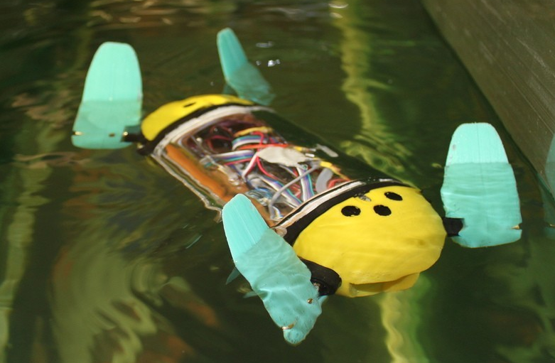 Robot rùa biển đang được thử nghiệm để theo dõi trại nuôi cá hồi. Ảnh: Đại học Công nghệ Tallinn.
