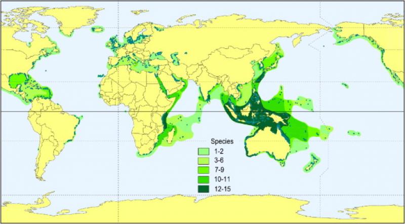Phân bố các loài cỏ biển trên thế giới.Màu xanh càng đậm biểu thị càng nhiều loài cỏ biển ở khu vực đó. | Nguồn: (Short, F. et al. 2007.)