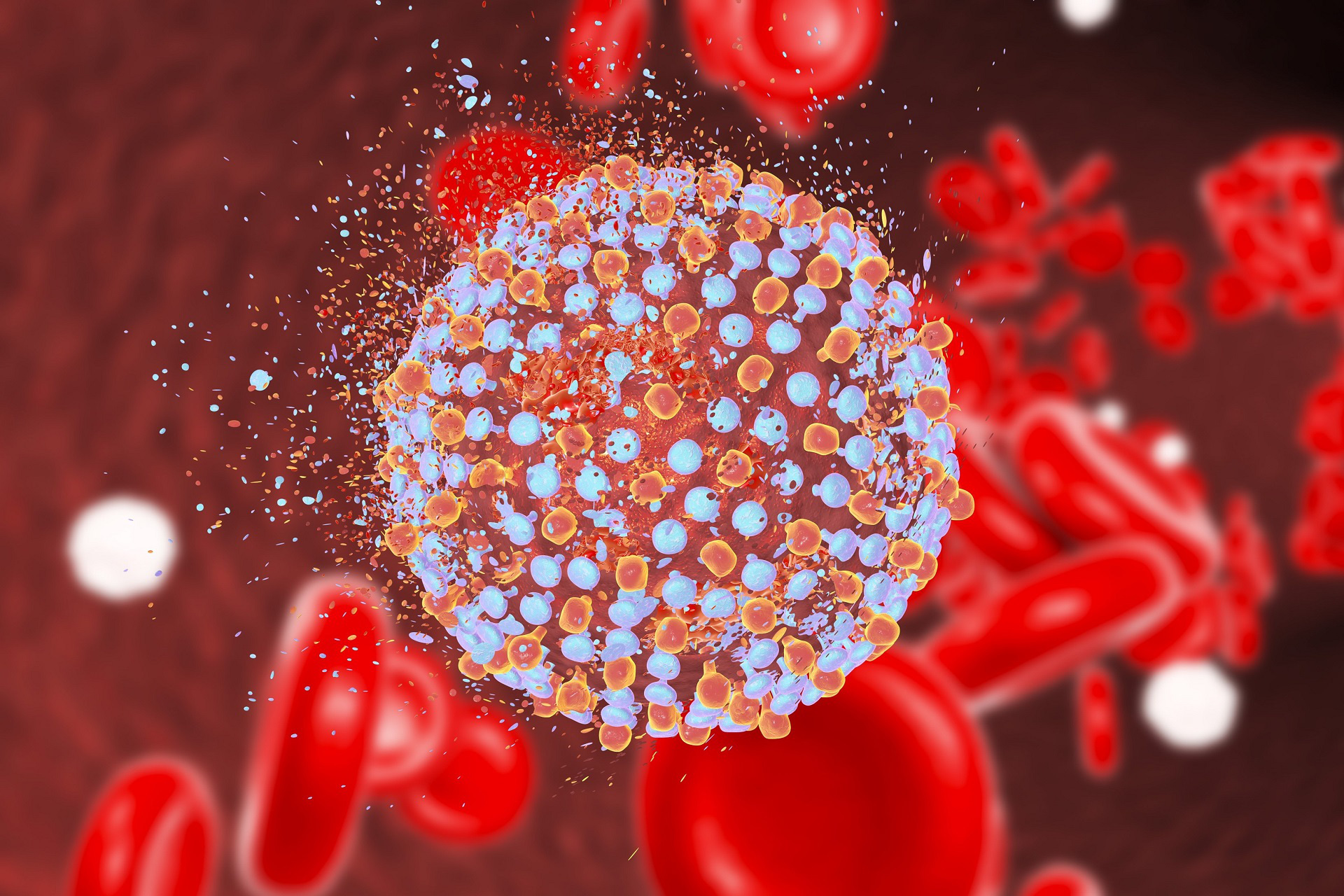 Virus SARS-CoV-2. Ảnh: Science Daily