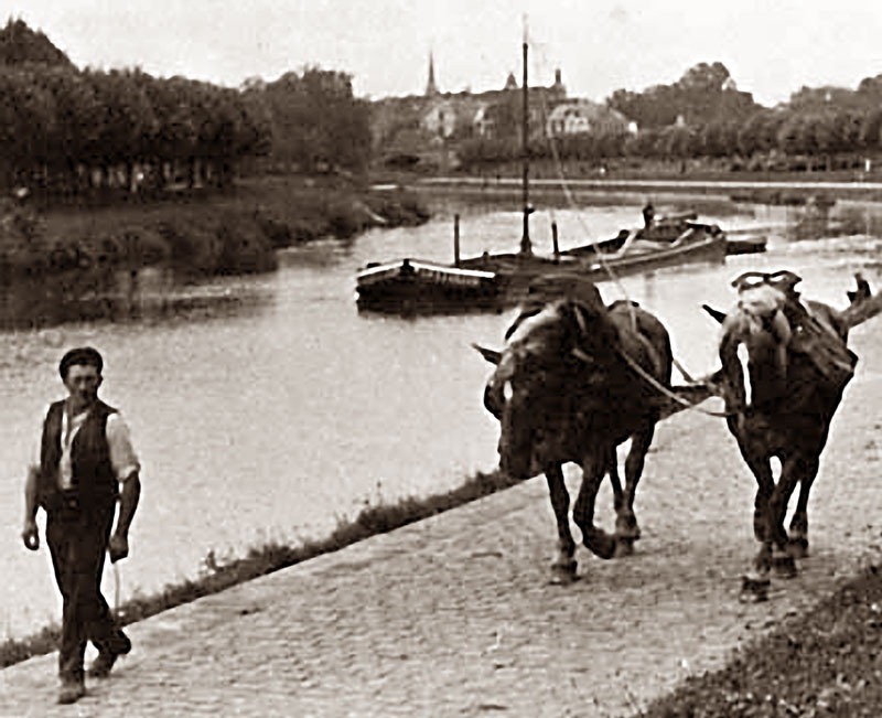 Thuyền kéo bằng sức ngựa tại Finowkanal, Đức, năm 1880. Ảnh: Wikimedia.