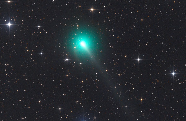 Sao chổi C/2019 Y4. Ảnh: Gerald Rhemann.