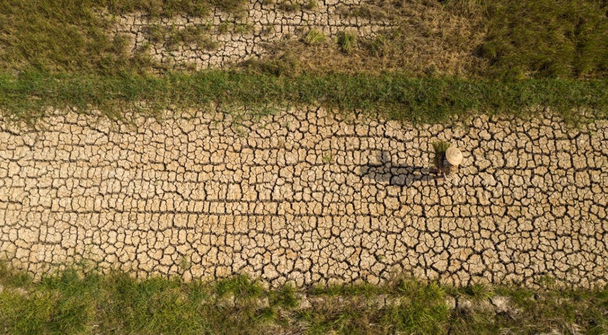 Cánh đồng lúa khô nứt nẻ do hạn hán tại xã Mỹ Nhơn, huyện Ba Tri, tỉnh Bến Tre | Nguồn: Báo ảnh Việt Nam