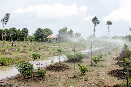 Hệ thống tưới phun nước tự động trên vườn cây ăn trái tại xã Xuân Thắng, huyện Thới Lai, TP Cần Thơ | Ảnh: Cantho Online