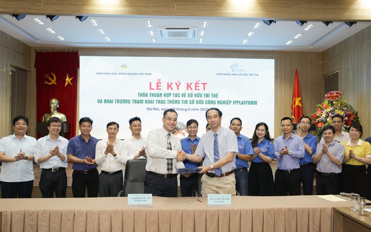 Lễ kí kết thỏa thuận hợp tác về sở hữu trí tuệ và khai trương trạm khai thác thông tin IPPlatform giữa Viện Khoa học sở hữu trí tuệ VIPRI (Bộ KH&CN) và Viện Khoa học Nông nghiệp Việt Nam VAAS (Bộ NN&PTNT) | Ảnh: BTC