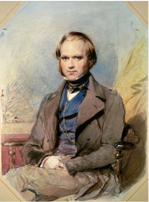 Darwin bốn năm sau khi trở về từ chuyến hành trình vòng quanh thế giới.