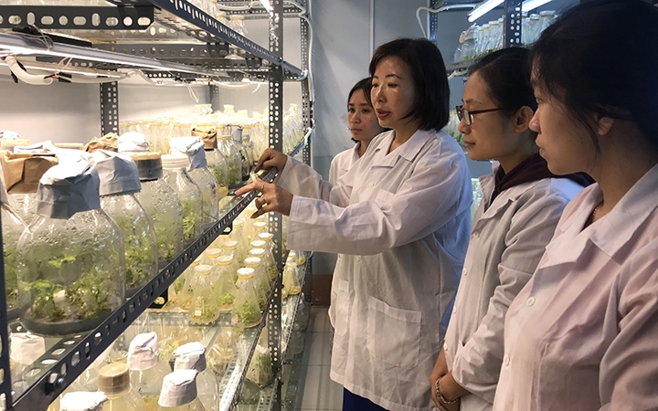 PGS.TS. Trần Thị Thu Hà (thứ 2 từ trái sang) hướng dẫn chuyên môn cho các cán bộ trẻ tại phòng thí nghiệm.