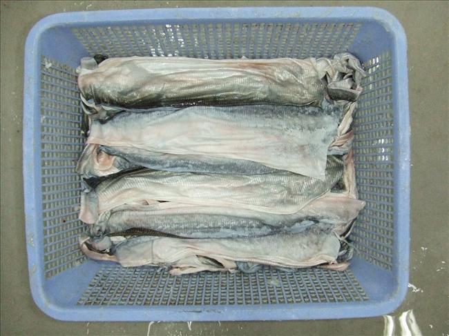 Da cá tra sau khi được lọc thường bị bỏ đi hoặc bán với giá rất rẻ. Ảnh: Hiệp hội cá tra Việt Nam.