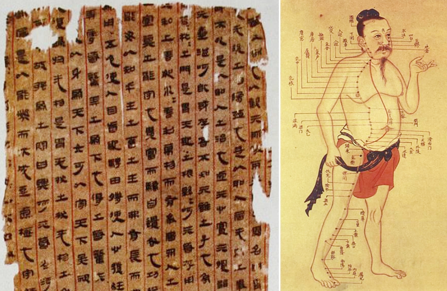 Tài liệu giải phẫu người được tìm thấy trong mộ Tân Truy phu nhân sống trong thời nhà Hán của Trung Quốc. Ảnh: Ancient Origins.