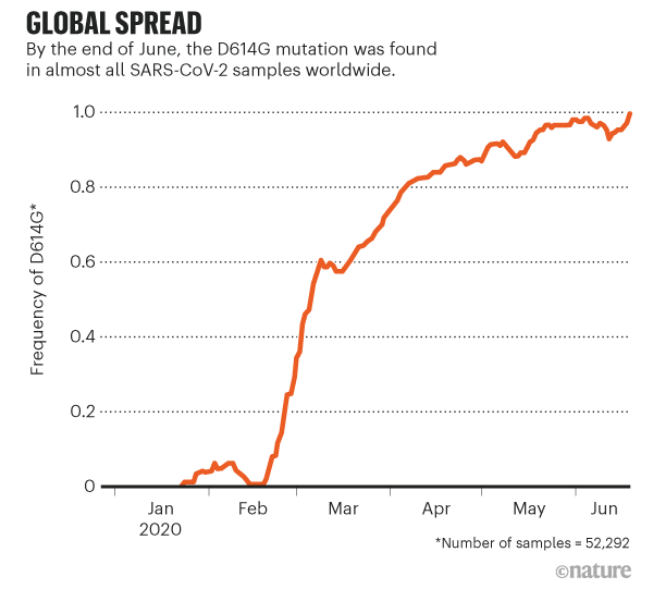 Lượng bệnh nhân mang đột biến D614G tăng ở mức báo động trong thời gian từ tháng 2 tới tháng 6 vừa qua (lượng mẫu: 52.300 người). Nguồn biểu đồ: Nature.