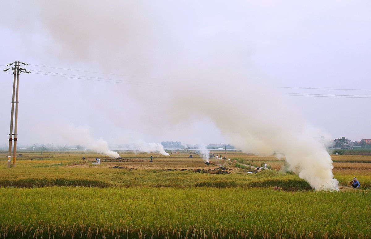 Tình trạng đốt rơm rạ đã diễn ra phổ biến nhiều năm ở Hà Nội