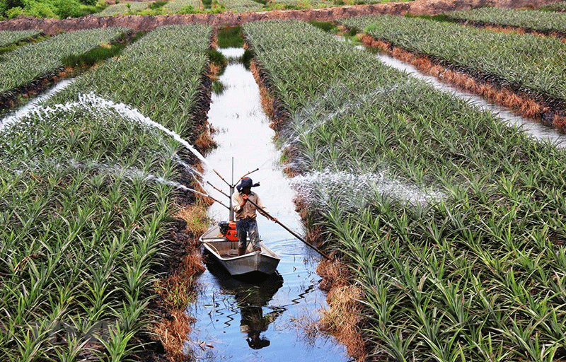 Công nghệ trong nông nghiệp tại Việt Nam còn lạc hâu