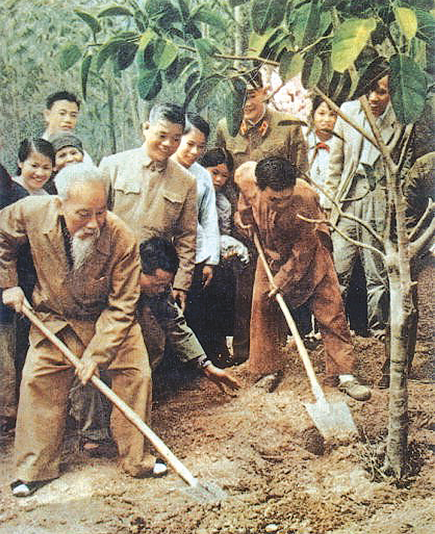 Bác Hồ trồng cây đa tại xã Vật Lại, Ba Vì, Hà Tây (nay là Hà Nội) ngày 16-2-1969. Ảnh: Tư liệu