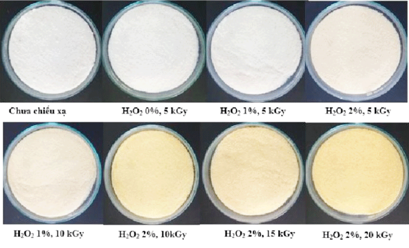 Chitosan chưa và sau khi chiếu xạ kết hợp xử lý H2O2
