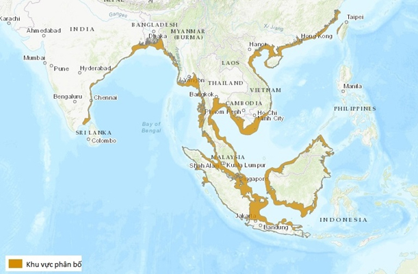 Phân bố của cá heo Lưng gù Thái Bình Dương trên thế giới (theo IUCN tháng 01/2021)