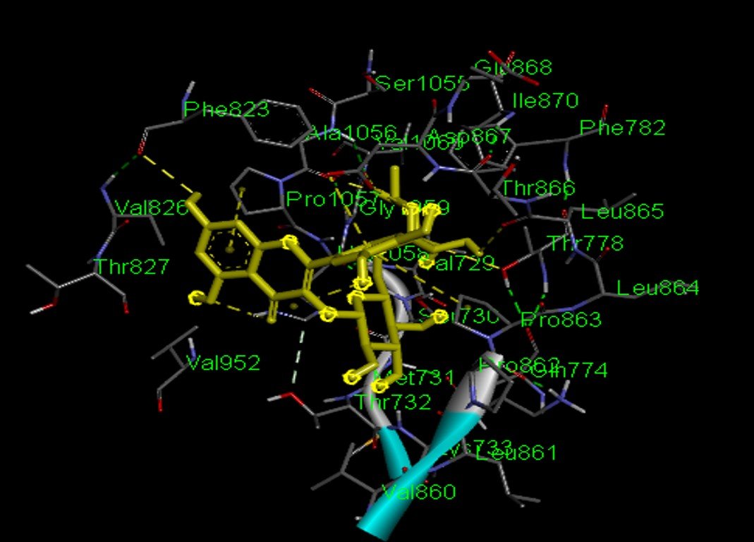Sự tương tác của phân tử rutin với SARS-CoV-2, biểu diễn 3D. Ảnh: NVCC