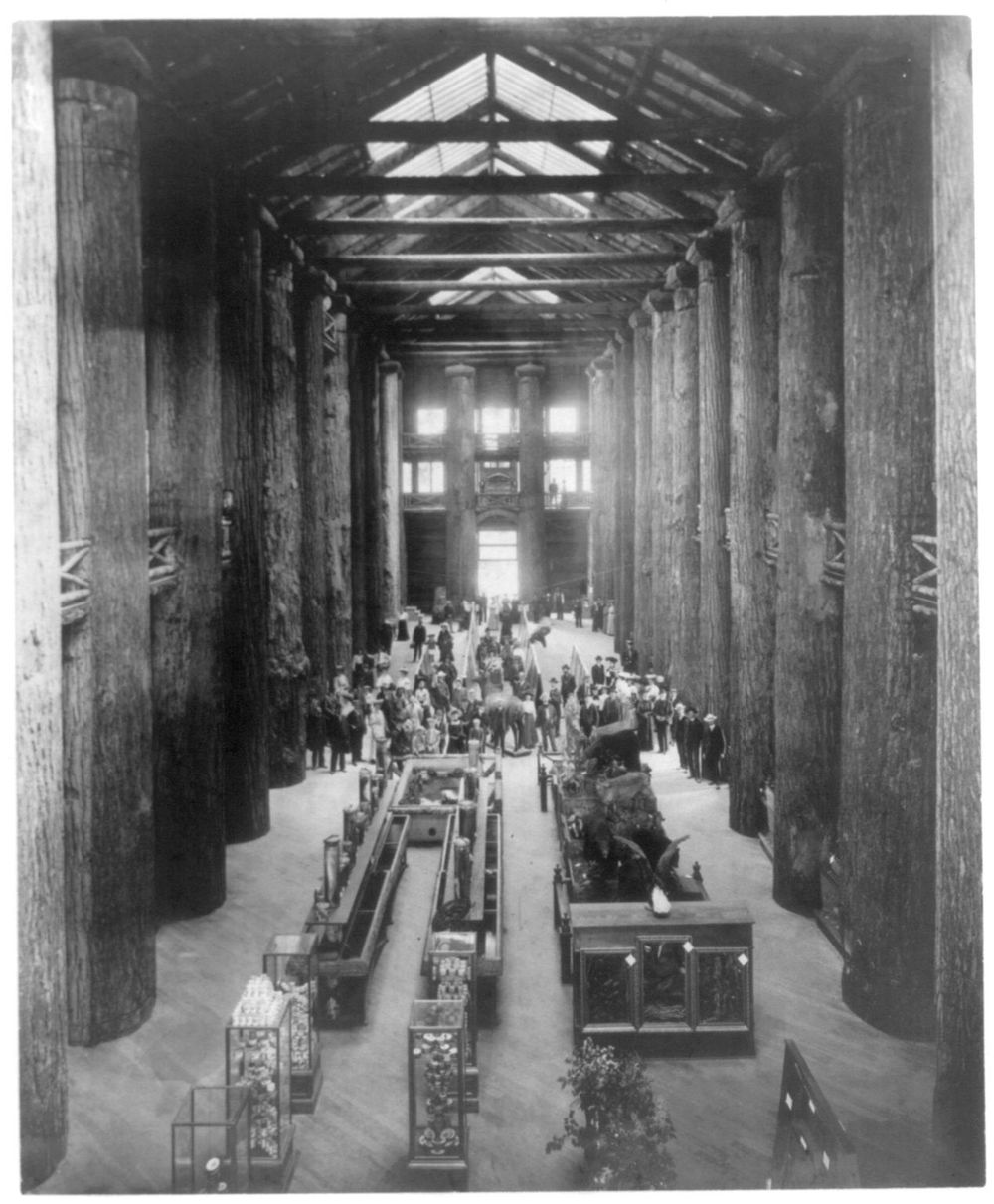 Ảnh chụp khung cảnh bên trong Forestry Building tại thời điểm diễn ra hội chợ thiên niên kỷ Lewis and Clark Centennial Exposition năm 1905.