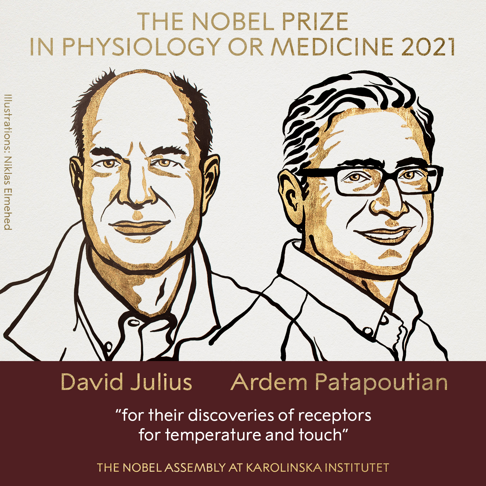 Hai nhà khoa học nhận Giải Nobel Y sinh 2021
